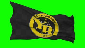 BSC Young Boys, YB Flag Waving Seamless Loop in Wind, Chroma Key Green Screen, Luma Matte Selection video