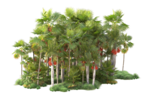 tropicale foresta isolato su trasparente sfondo. 3d interpretazione - illustrazione png