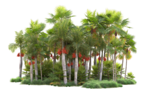 tropical floresta isolado em transparente fundo. 3d Renderização - ilustração png