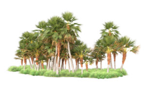 Tropical forest isolated on transparent background. 3d rendering - illustration png