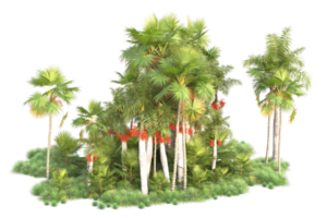 Tropical forest isolated on transparent background. 3d rendering - illustration png