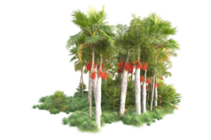 tropicale foresta isolato su trasparente sfondo. 3d interpretazione - illustrazione png