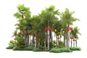 Tropical forest isolated on transparent background. 3d rendering - illustration png