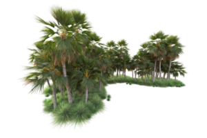 tropicale foresta isolato su trasparente sfondo. 3d interpretazione - illustrazione png