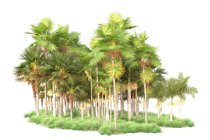 Tropical forest isolated on transparent background. 3d rendering - illustration png