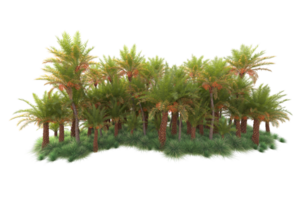 tropicale foresta isolato su trasparente sfondo. 3d interpretazione - illustrazione png