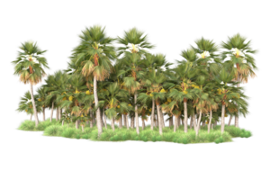 Tropical forest isolated on transparent background. 3d rendering - illustration png