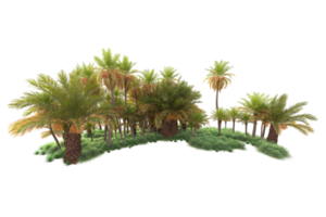 tropisch Wald isoliert auf transparent Hintergrund. 3d Rendern - - Illustration png