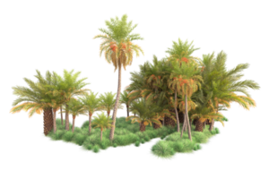 Tropical forest isolated on transparent background. 3d rendering - illustration png