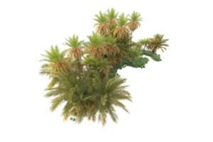 tropical floresta isolado em transparente fundo. 3d Renderização - ilustração png