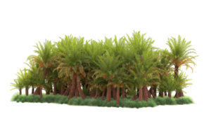 Tropical forest isolated on transparent background. 3d rendering - illustration png