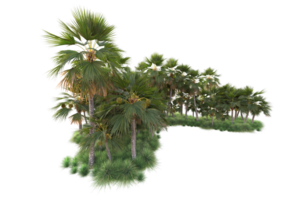 Tropical forest isolated on transparent background. 3d rendering - illustration png