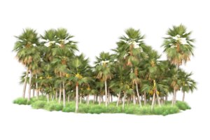 Tropical forest isolated on transparent background. 3d rendering - illustration png