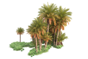 Tropical forest isolated on transparent background. 3d rendering - illustration png