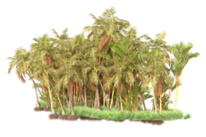 Tropical forest isolated on transparent background. 3d rendering - illustration png