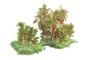 tropisch Wald isoliert auf transparent Hintergrund. 3d Rendern - - Illustration png