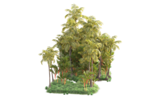 Tropical forest isolated on transparent background. 3d rendering - illustration png