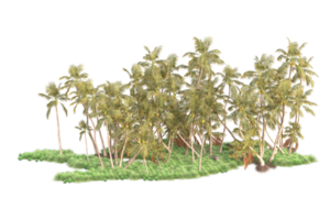 tropisch Wald isoliert auf transparent Hintergrund. 3d Rendern - - Illustration png