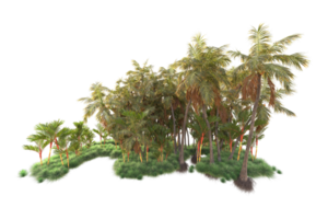 Tropical forest isolated on transparent background. 3d rendering - illustration png