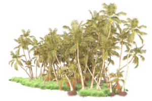 Tropical forest isolated on transparent background. 3d rendering - illustration png