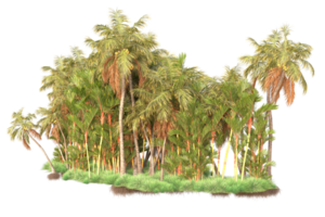 Tropical forest isolated on transparent background. 3d rendering - illustration png