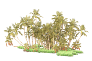 Tropical forest isolated on transparent background. 3d rendering - illustration png