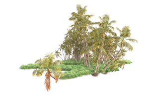 tropical forêt isolé sur transparent Contexte. 3d le rendu - illustration png