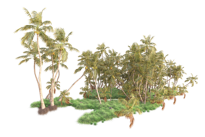 Tropical forest isolated on transparent background. 3d rendering - illustration png