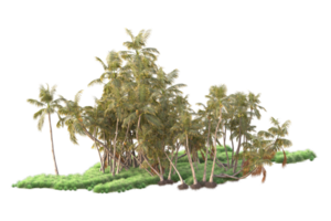 Tropical forest isolated on transparent background. 3d rendering - illustration png