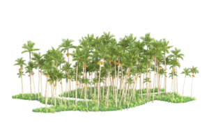 Tropical forest isolated on transparent background. 3d rendering - illustration png