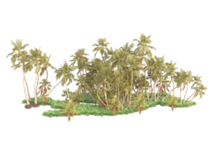 tropisch Wald isoliert auf transparent Hintergrund. 3d Rendern - - Illustration png