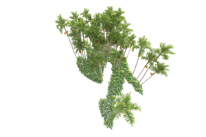 tropisch Wald isoliert auf transparent Hintergrund. 3d Rendern - - Illustration png