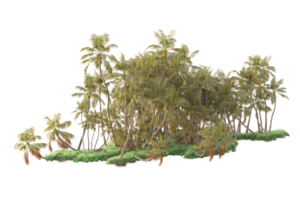 tropical forêt isolé sur transparent Contexte. 3d le rendu - illustration png