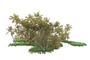 Tropical forest isolated on transparent background. 3d rendering - illustration png