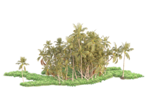 Tropical forest isolated on transparent background. 3d rendering - illustration png