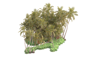 Tropical forest isolated on transparent background. 3d rendering - illustration png