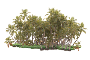 tropisch Wald isoliert auf transparent Hintergrund. 3d Rendern - - Illustration png