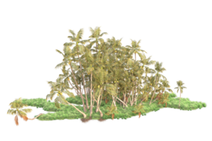 Tropical forest isolated on transparent background. 3d rendering - illustration png