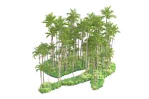 tropisk skog isolerat på transparent bakgrund. 3d tolkning - illustration png