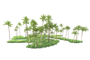 Tropical forest isolated on transparent background. 3d rendering - illustration png