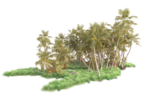 Tropical forest isolated on transparent background. 3d rendering - illustration png