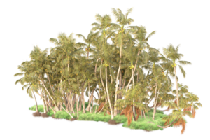 Tropical forest isolated on transparent background. 3d rendering - illustration png