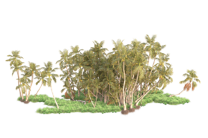 Tropical forest isolated on transparent background. 3d rendering - illustration png