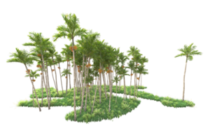 Tropical forest isolated on transparent background. 3d rendering - illustration png