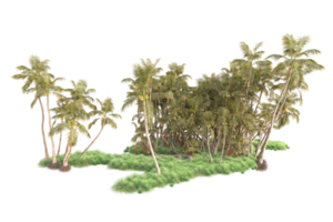 Tropical forest isolated on transparent background. 3d rendering - illustration png