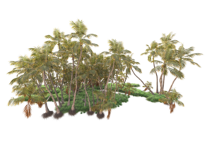 Tropical forest isolated on transparent background. 3d rendering - illustration png