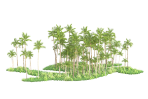 tropical floresta isolado em transparente fundo. 3d Renderização - ilustração png