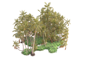 Tropical forest isolated on transparent background. 3d rendering - illustration png