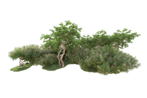 tropisch Wald isoliert auf transparent Hintergrund. 3d Rendern - - Illustration png