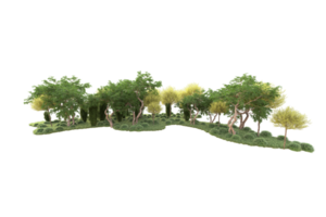 Tropical forest isolated on transparent background. 3d rendering - illustration png